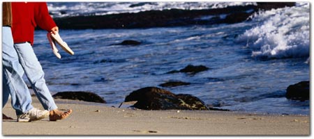 Click for more information on <center>BEACHES & FORESTS</center>.