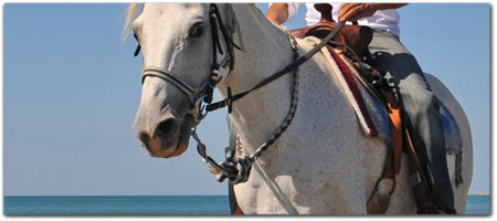 Click for more information on <center>OUTDOOR ACTIVITIES</center>.