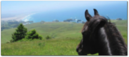 Ricochet Ridge Ranch