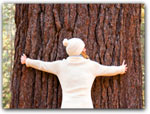 HUG A REDWOODTREE