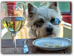 Pet Friendly Restaurants